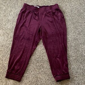 Women’s Burgundy Velour Jogger Pants